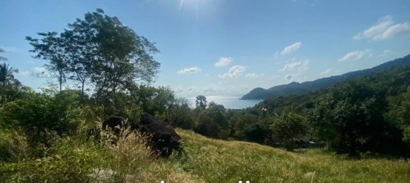 Imóvel comercial em Surat Thani, Thailand N.º 13368 9