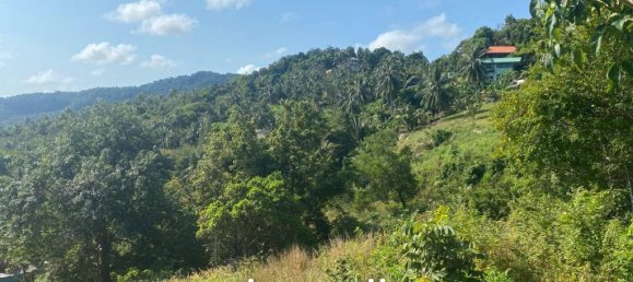 Imóvel comercial em Surat Thani, Thailand N.º 13368 3