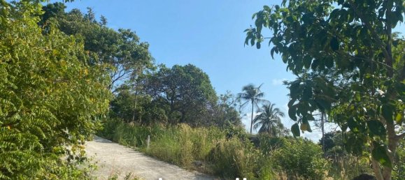 Imóvel comercial em Surat Thani, Thailand N.º 13368 7