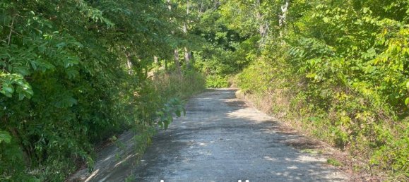 Imóvel comercial em Surat Thani, Thailand N.º 13368 10