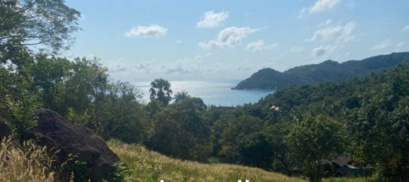 Imóvel comercial em Surat Thani, Thailand N.º 13368 2