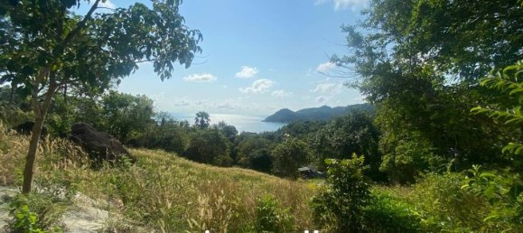 Imóvel comercial em Surat Thani, Thailand N.º 13368 6