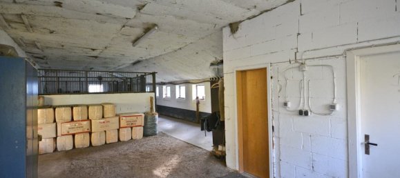 10-salle Ferme à Ostholstein, Germany No. 69178 37