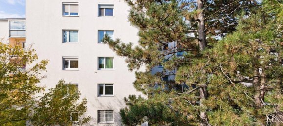 3 rooms Apartment in Wiener Neudorf, Austria No. 202339 29