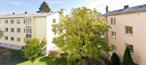 3 rooms Apartment in Wiener Neudorf, Austria No. 202339 30
