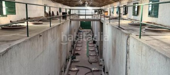  عقار تجاري في Arganda del Rey, Spain 1936متر مربع رقم 171108 10