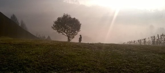  Land in Straden, Austria No. 133967 6