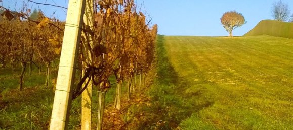  Land in Straden, Austria No. 133967 8