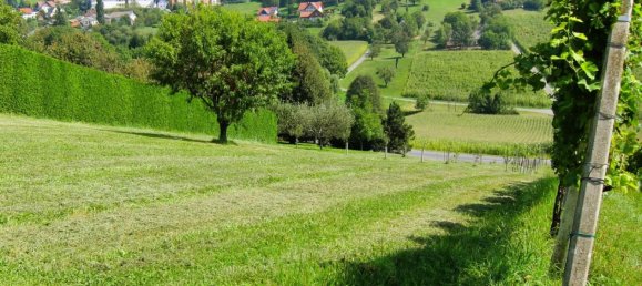  Land in Straden, Austria No. 133967 2