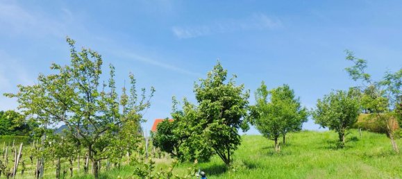  Land in Straden, Austria No. 133967 12