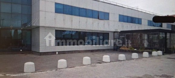 5 rooms Commercial property in Frosinone, Italy No. 259192 2