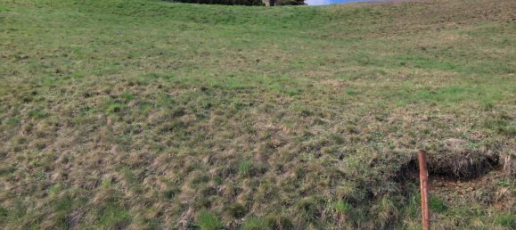 Terreno en St. Andra, Austria No. 251288 11