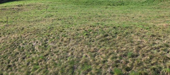 Terreno en St. Andra, Austria No. 251288 9