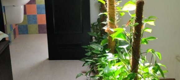 247m² Building in Huelva, Spain No. 157501 11