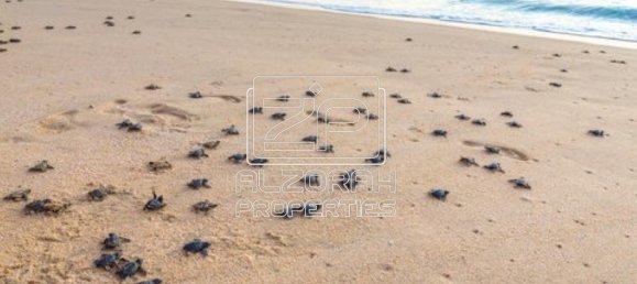 1 chambre Appartement à Al Zorah, UAE No. 55864 29