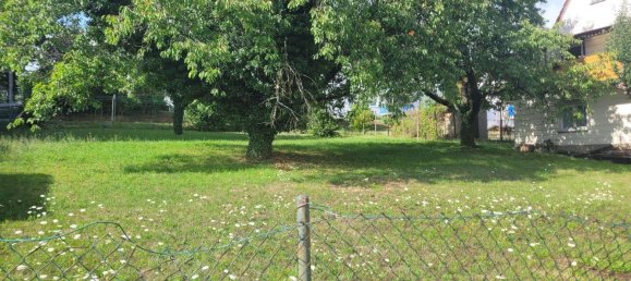 Земельный участок в Энц, Германия № 286431 4