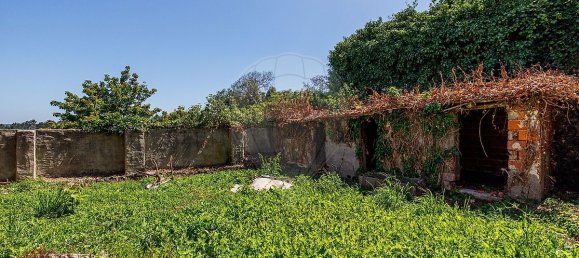 Дом с 1 спальней в Алкобаса, Португалия № 33982 13