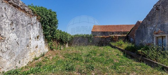 Дом с 1 спальней в Алкобаса, Португалия № 33982 6