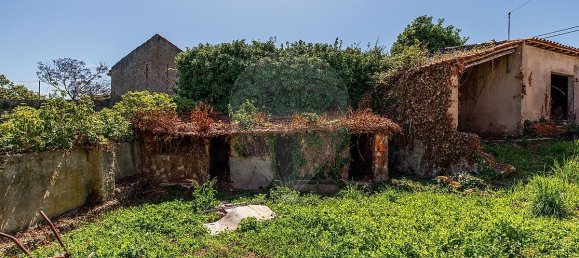 Дом с 1 спальней в Алкобаса, Португалия № 33982 14