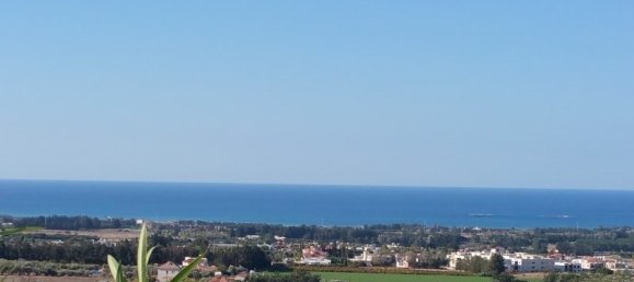 5 bedrooms Villa in Paphos, Cyprus No. 10258 17