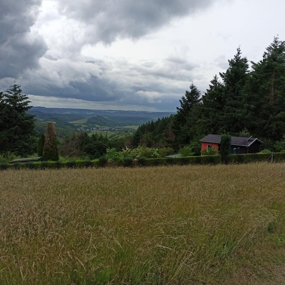 2 rooms House in Trier-Saarburg, Germany No. 365258