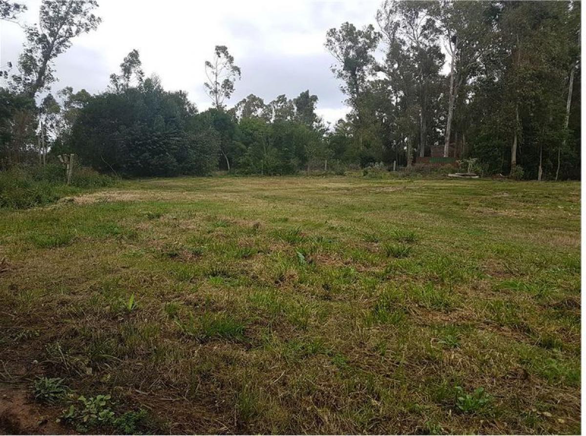  Land in Maldonado, Uruguay No. 14829