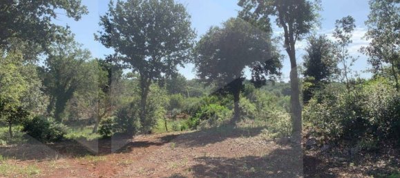 Estúdio em Monopoli, Italy N.º 28492 7