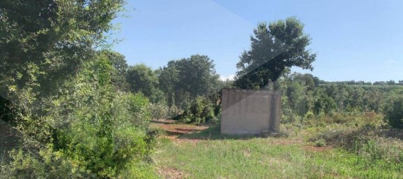 Estúdio em Monopoli, Italy N.º 28492 8