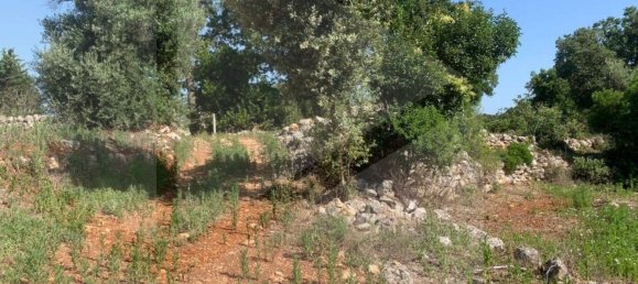 Estúdio em Monopoli, Italy N.º 28492 5