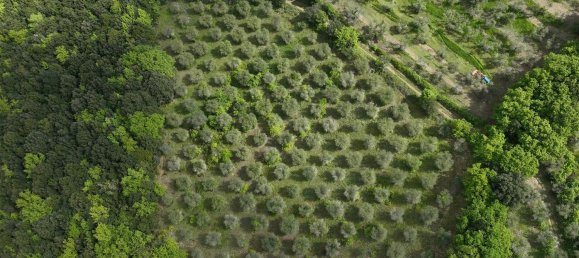 26 rooms House in Marsciano, Italy No. 55616 46