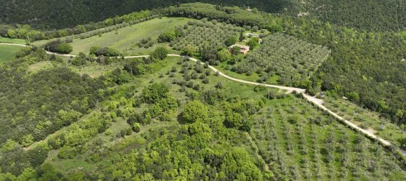 26 rooms House in Marsciano, Italy No. 55616 15