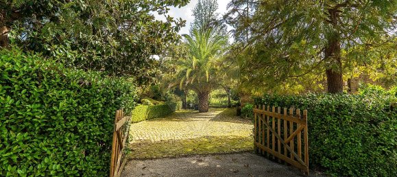 3 bedrooms House in Tomar, Portugal No. 29033 25