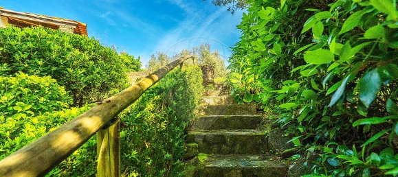 3 bedrooms House in Tomar, Portugal No. 29033 27