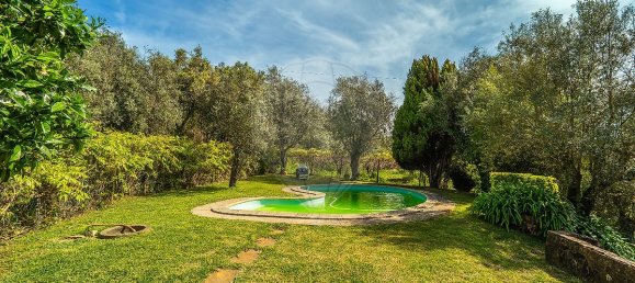 3 bedrooms House in Tomar, Portugal No. 29033 29