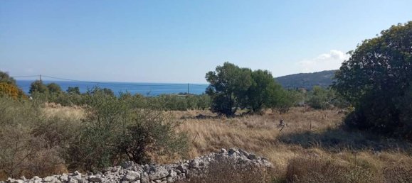  Land in Zakynthos, Greece No. 558 5