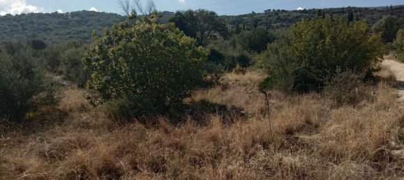  Land in Zakynthos, Greece No. 558 8