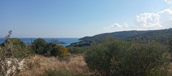  Hotel in Zakynthos, Greece No. 558 2