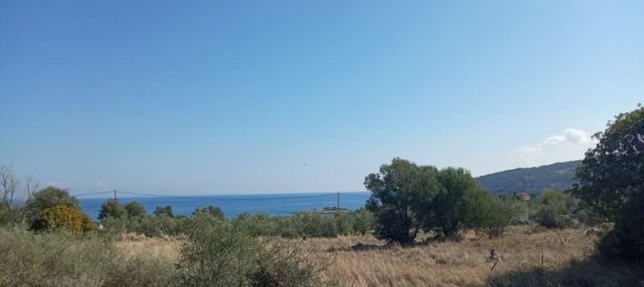  Land in Zakynthos, Greece No. 558 4