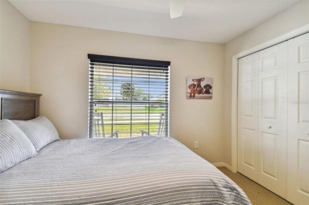 4 bedrooms House in Zephyrhills, USA No. 380095