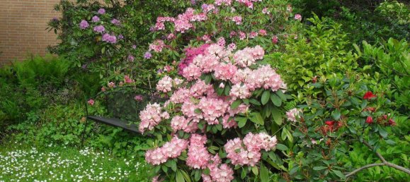 3 غرف نوم بناية في Gottingen, Germany رقم 273486 44