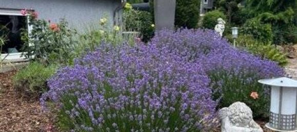 Вилла с 12 комнатами в Цвайбрюккен, Германия № 73064 17