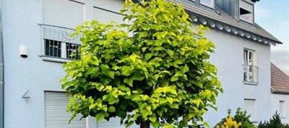 Вилла с 12 комнатами в Цвайбрюккен, Германия № 73064 7