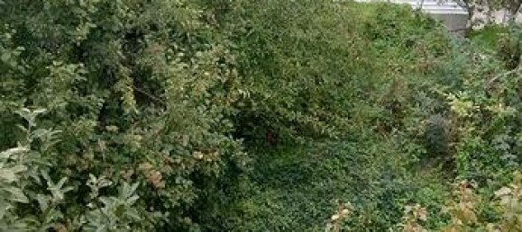 4-Zimmer Wohnung in Pietraroja, Italy, Nr. 251732 6