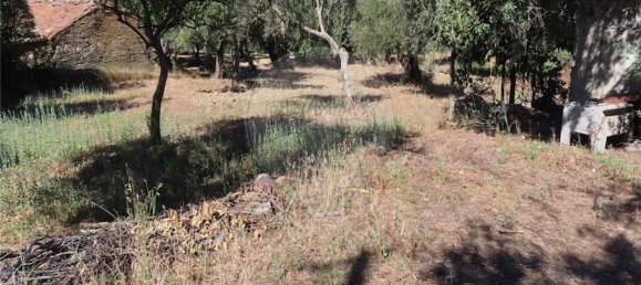 9 bedrooms House in Santo Andre das Tojeiras, Portugal No. 74678 2