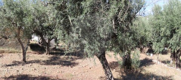 9 bedrooms House in Santo Andre das Tojeiras, Portugal No. 74678 19