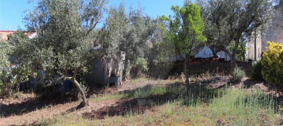 9 bedrooms House in Santo Andre das Tojeiras, Portugal No. 74678 22