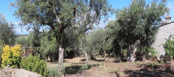 9 bedrooms House in Santo Andre das Tojeiras, Portugal No. 74678 7