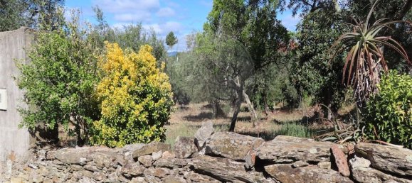 9 bedrooms House in Santo Andre das Tojeiras, Portugal No. 74678 25