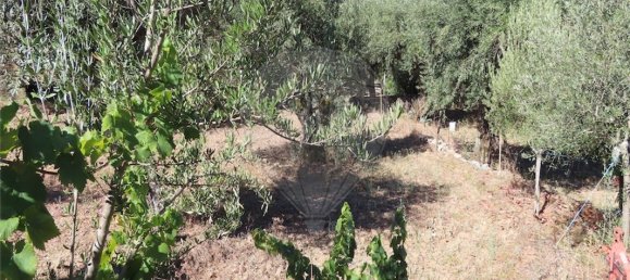 9 bedrooms House in Santo Andre das Tojeiras, Portugal No. 74678 18