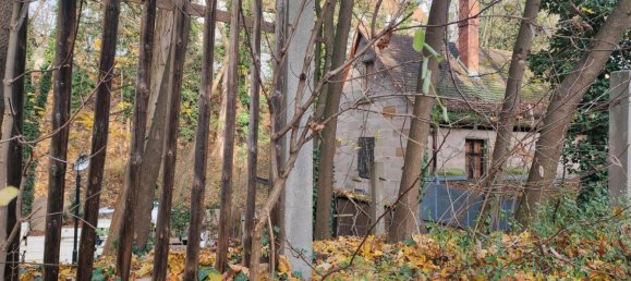 Cafe / Restaurant in Fürth, Germany 223m², Nr. 294061 4